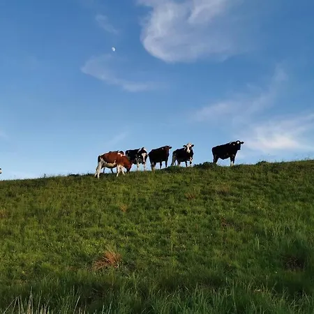 Wewelsflether Baeckerhaus - 250qm Fuer 12 Gaeste