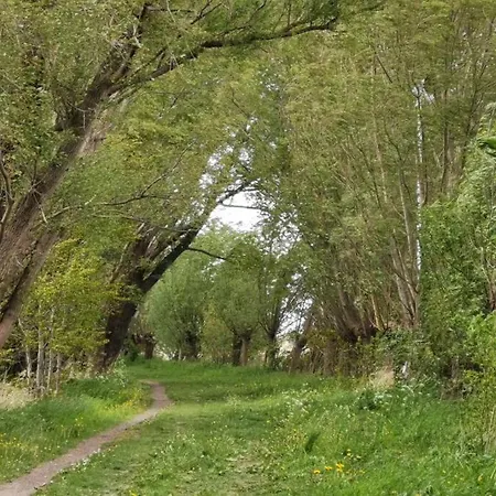 Holiday home Wewelsflether Baeckerhaus - 250qm Fuer 12 Gaeste